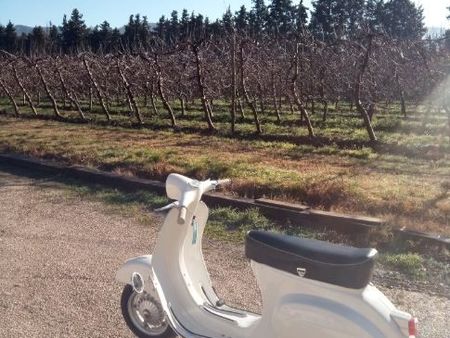 PIAGGIO vespa-50-special-v5b3t tweedehands - De Parking