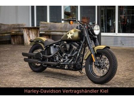 HARLEY DAVIDSON harley-davidson-flss 