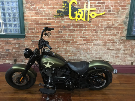 harley davidson softail slim verde d'occasione - Ricerca di moto  d'occasione - Il Parking Moto