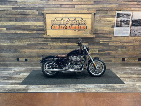 harley davidson sportster superlow 1200t d'occasione - Ricerca di moto  d'occasione - Il Parking Moto